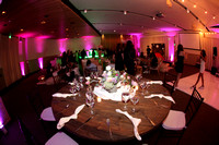 Reception II